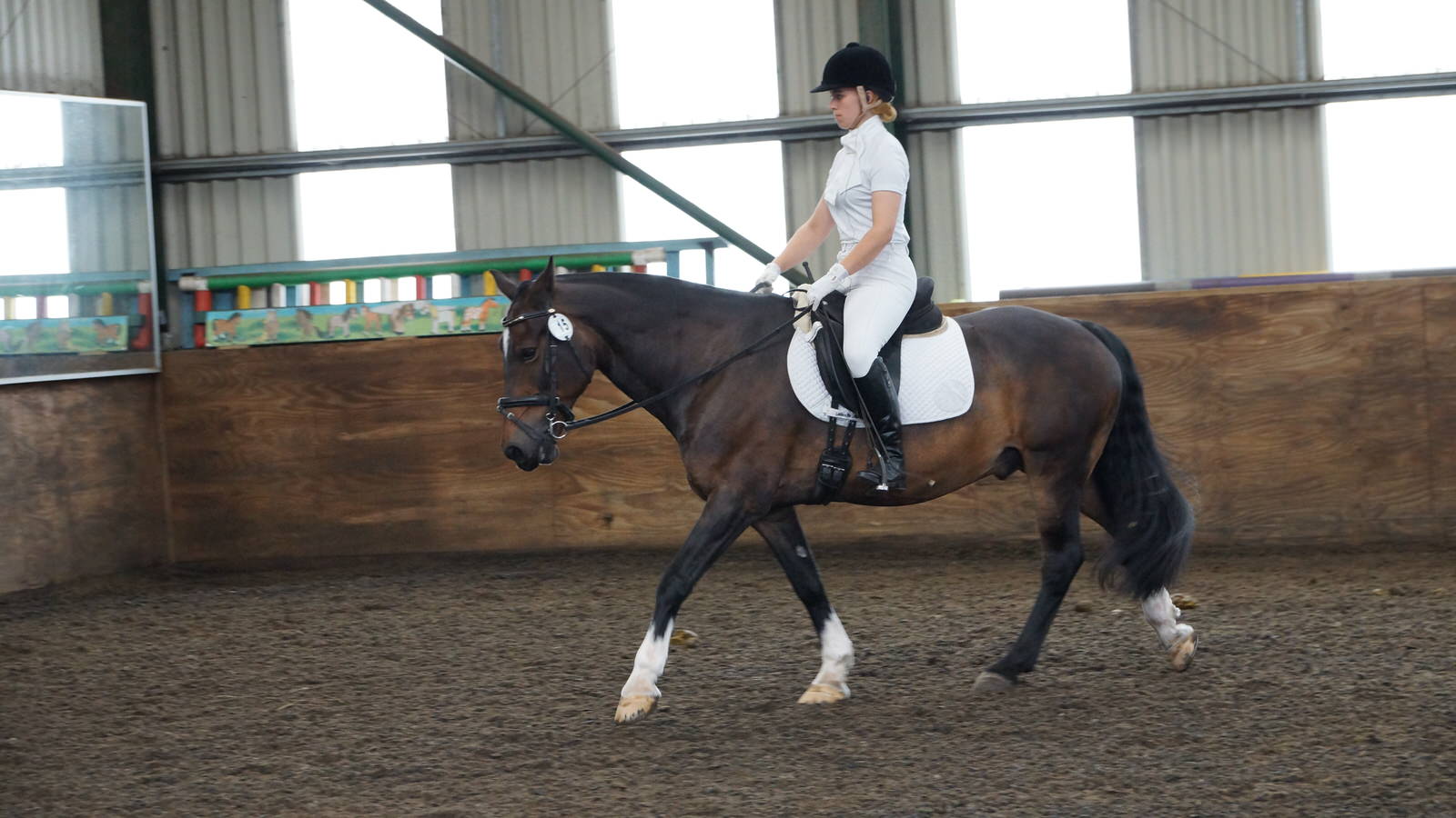 Riding Lessons Near Me